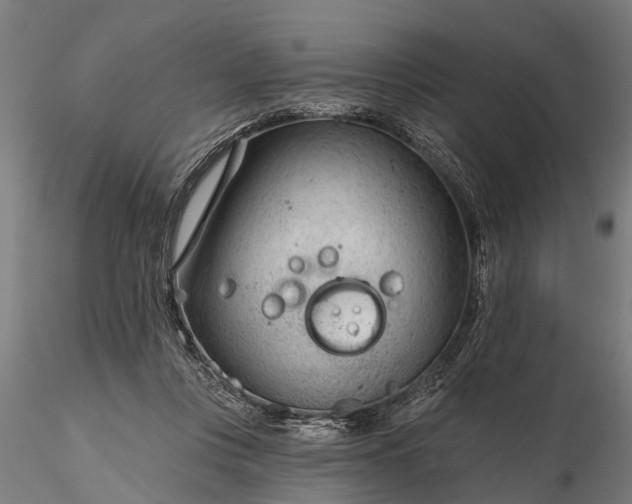 X0000116340359200912151333