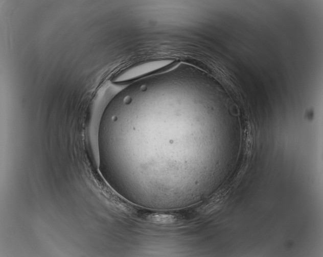 X0000116340361200912151333