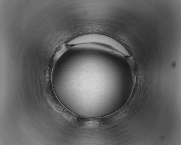 X0000116340362200912151333