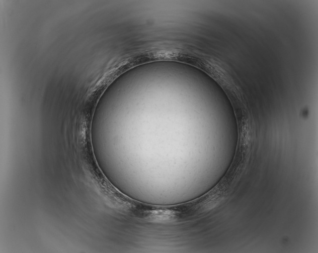 X0000116340363200912151333