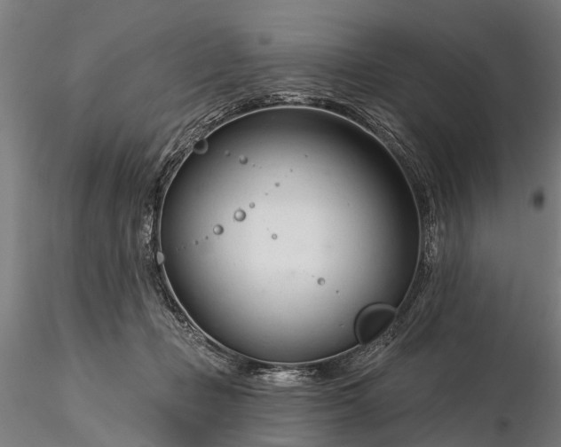 X0000116340365200912151333