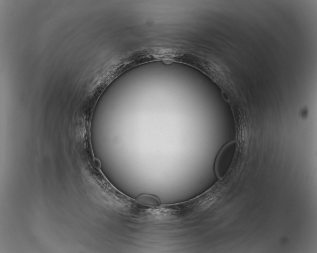 X0000116340367200912151333