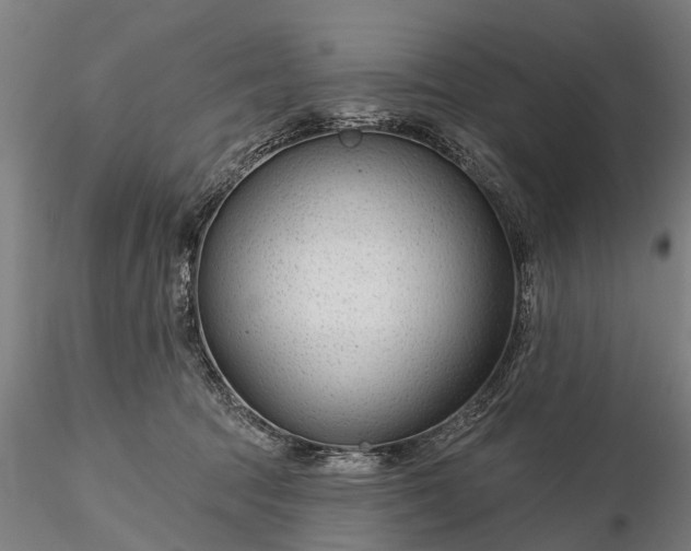 X0000116340369200912151333