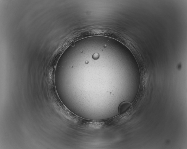 X0000116340373200912151333