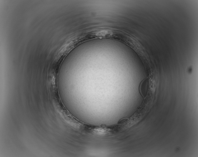 X0000116340375200912151333