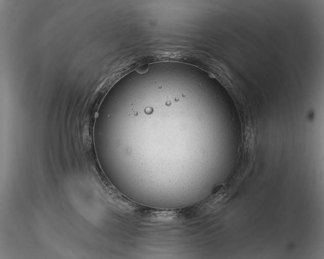 X0000116340377200912151333