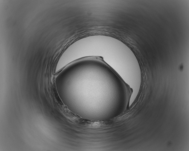 X0000116340382200912151334