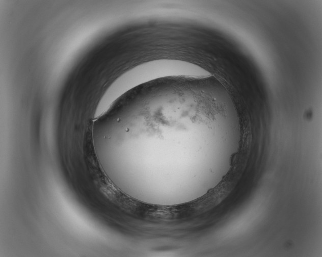 X0000116340383200912151334