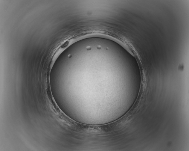 X0000116340386200912151333