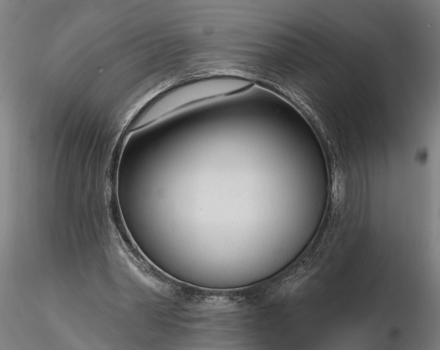 X0000116340390200912151333