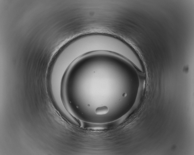 X0000116340391200912151333