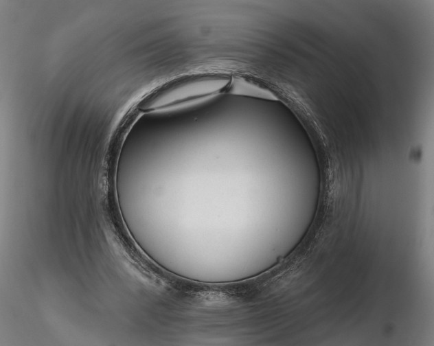 X0000116340392200912151333