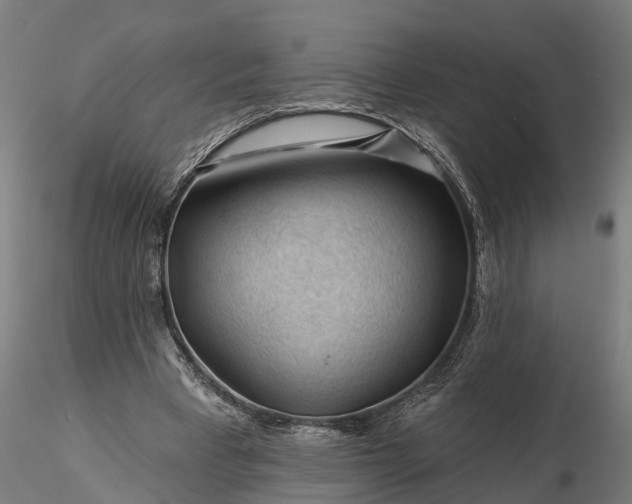 X0000116340393200912151333