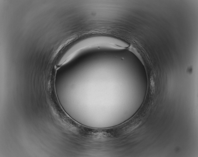 X0000116340396200912151333