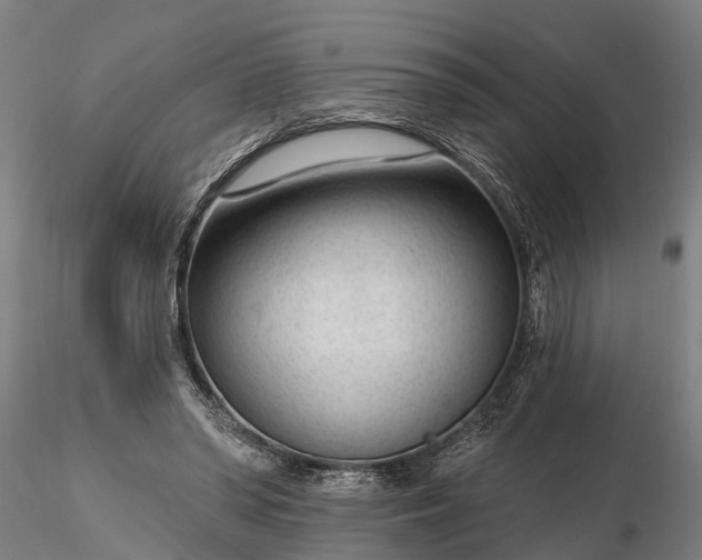 X0000116340398200912151333