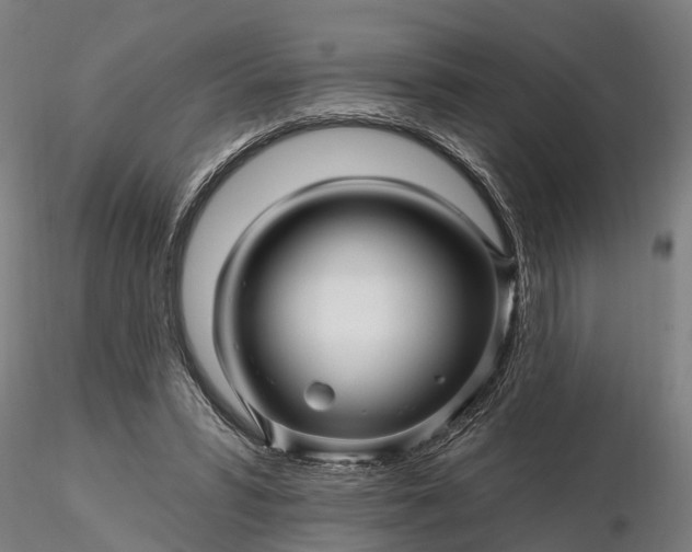 X0000116340399200912151333