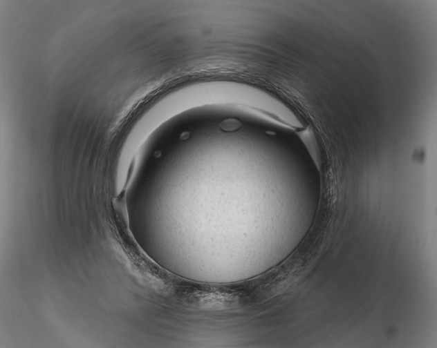 X0000116340400200912151333