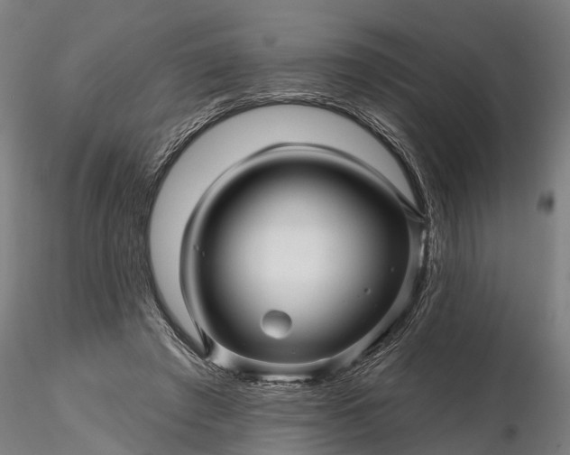 X0000116340401200912151333