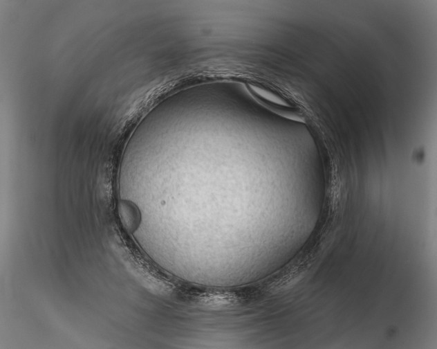 X0000116340402200912151333