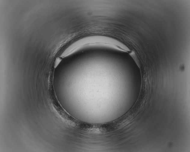 X0000116340404200912151333