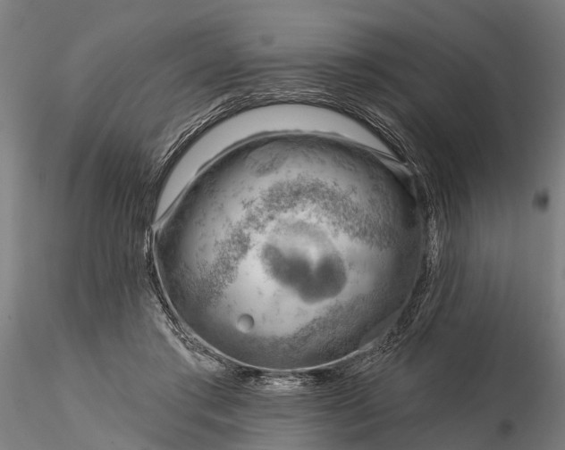 X0000116340405200912151333