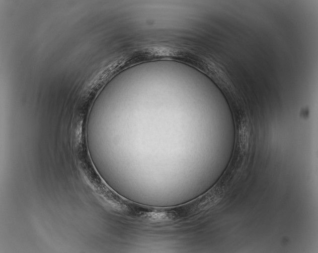 X0000116340406200912151333