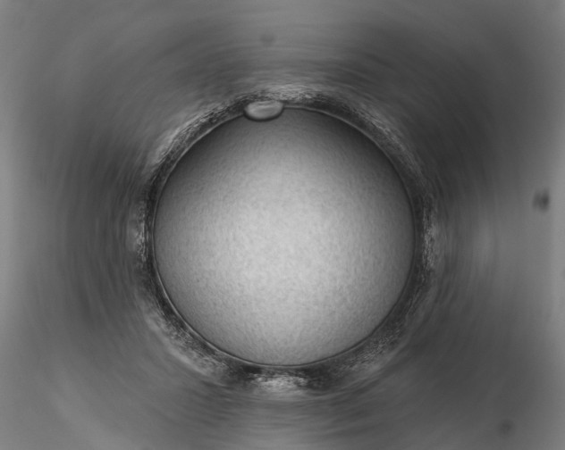 X0000116340407200912151333