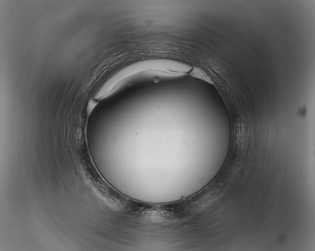 X0000116340408200912151333