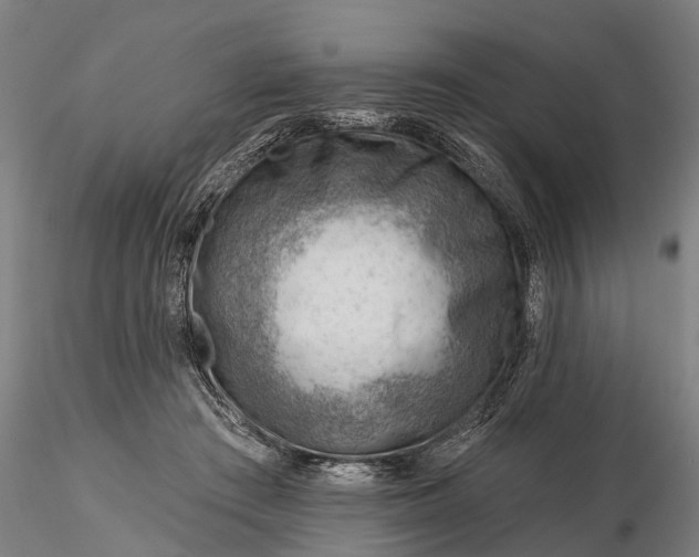 X0000116340409200912151333