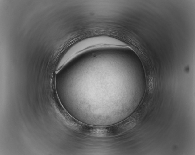 X0000116340410200912151333