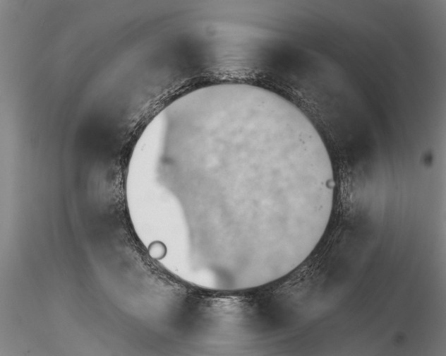 X0000116340411200912151333