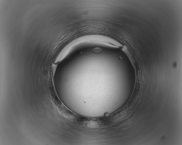 X0000116340412200912151333