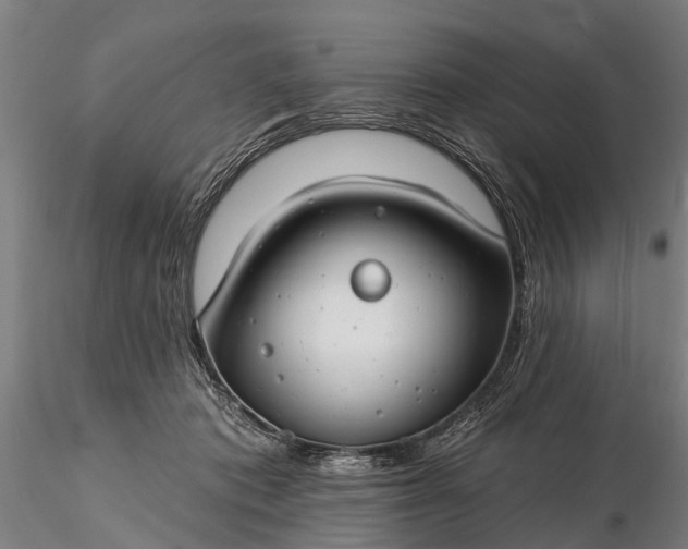 X0000116340413200912151332