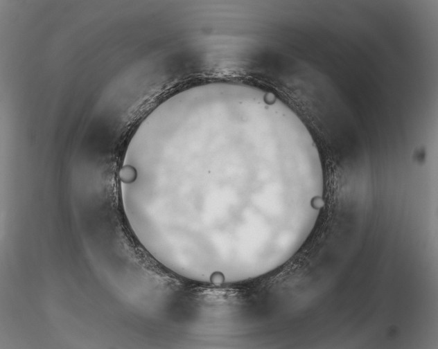 X0000116340415200912151332