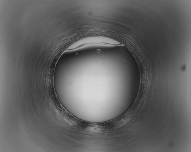 X0000116340416200912151332