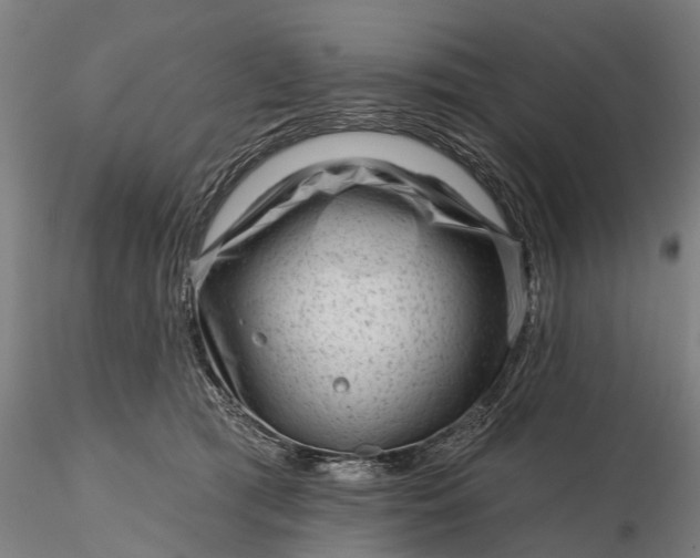 X0000116340417200912151332