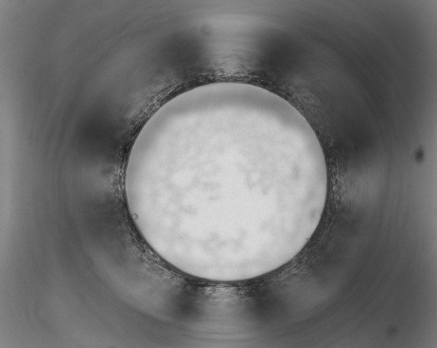 X0000116340419200912151332