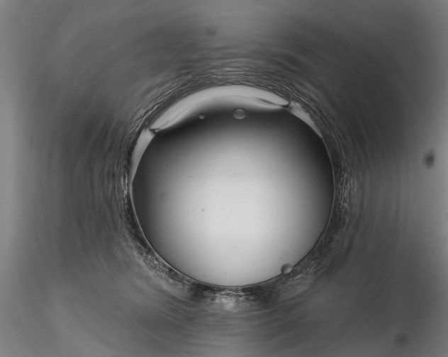 X0000116340420200912151332