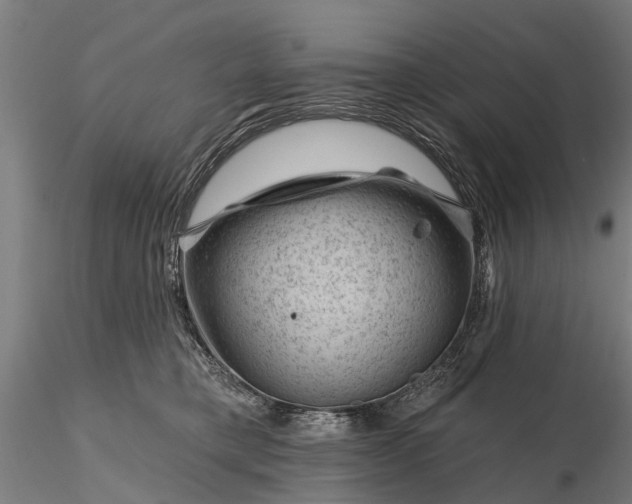 X0000116340421200912151332