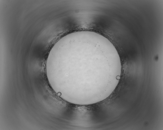 X0000116340423200912151332