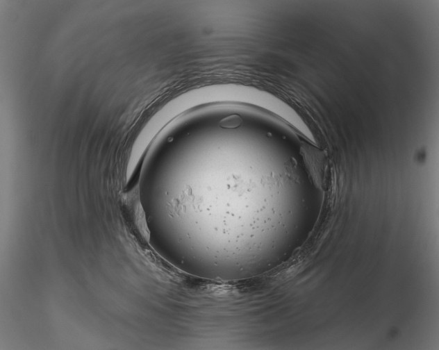 X0000116340424200912151332