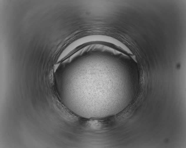 X0000116340425200912151332