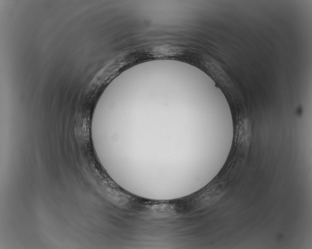 X0000116340426200912151332