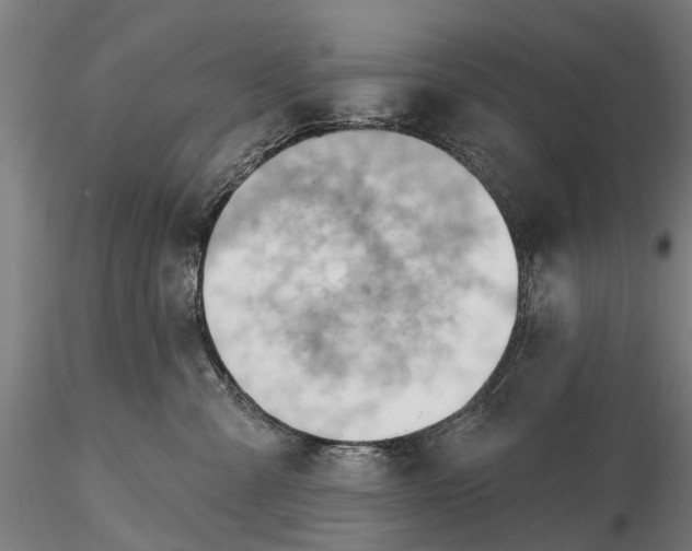 X0000116340427200912151332