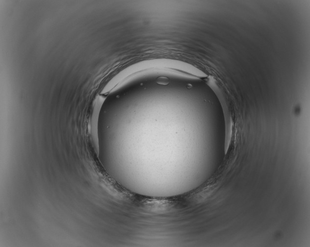 X0000116340428200912151332