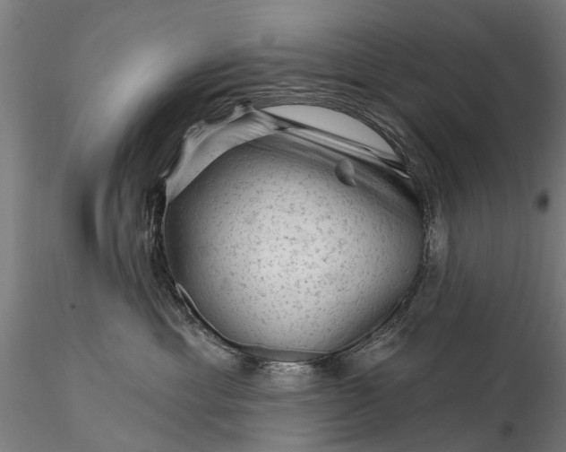 X0000116340429200912151332