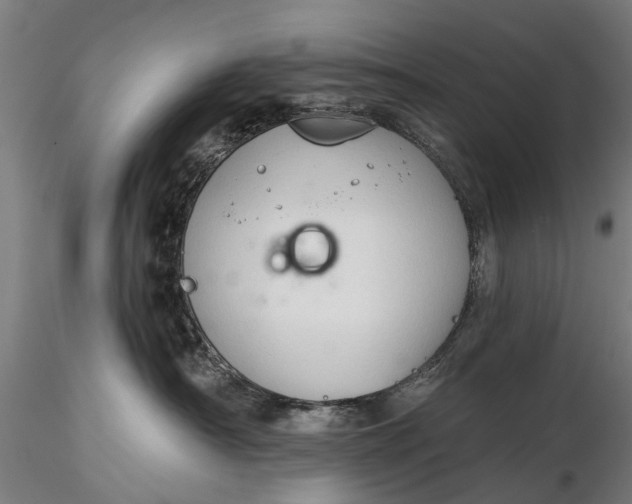 X0000116340430200912151332