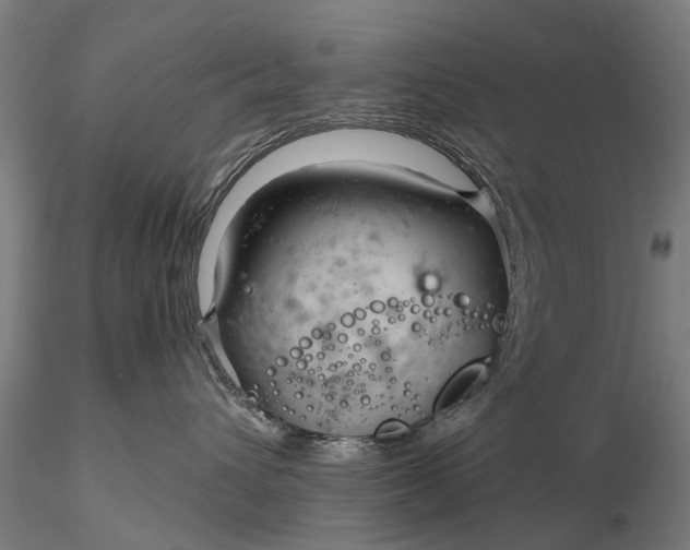 X0000116340432200912151332