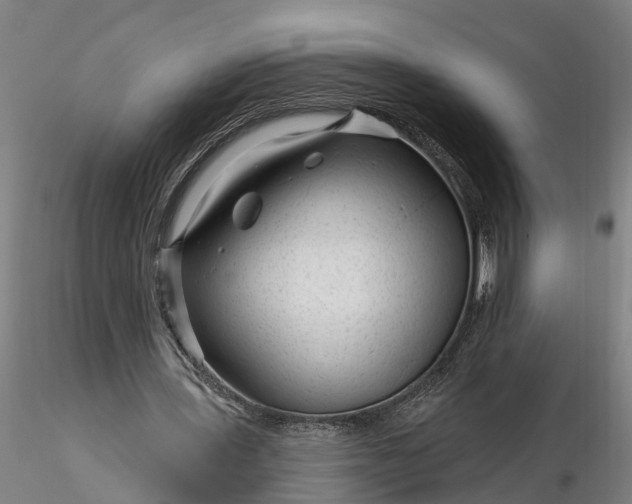 X0000116340435200912151331