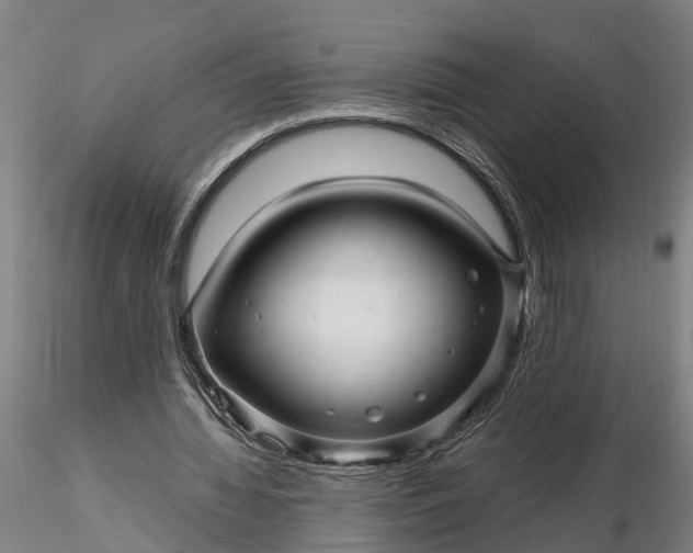 X0000116340436200912151331